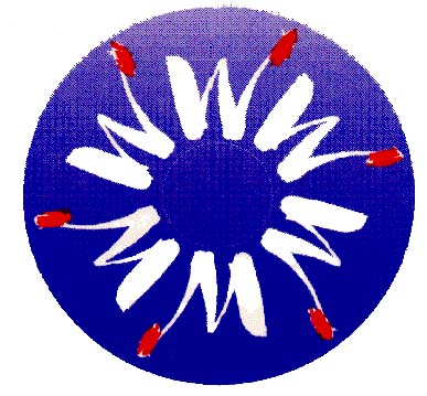 Wonk Logo